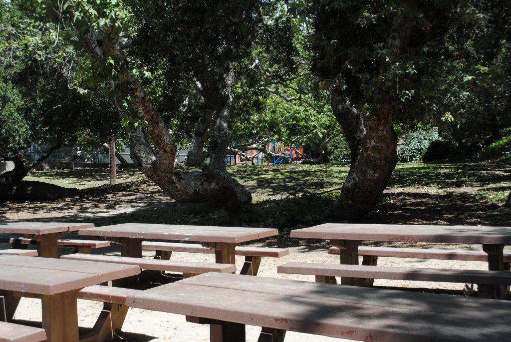 Rustic_Canyon_DSC_1623