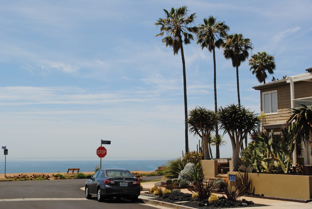 USE_THIS_El_MEDIO_BLUFFS 2008-12-31 17.23.01